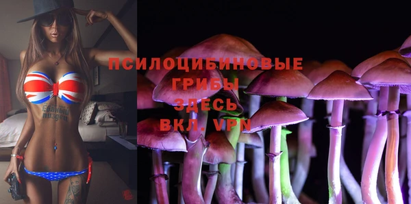 прущая мука Беломорск